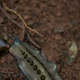 designing for sixth extinction